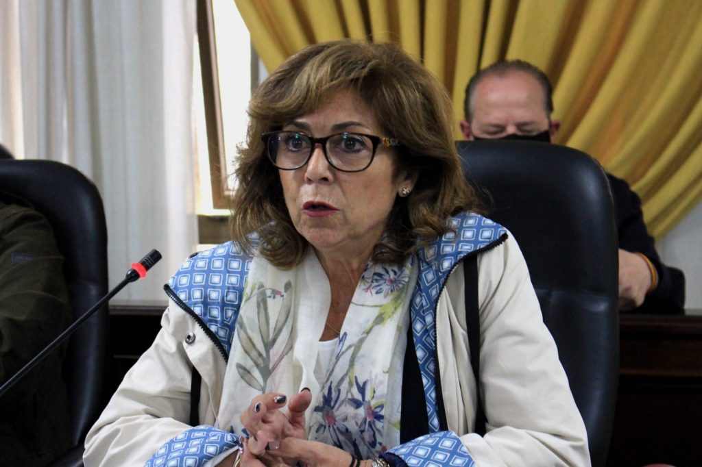 MªLuisa Moya denuncia que el PSOE vuelve a poner en marcha la maquinaria electoral con el dinero de los sanjuaneros